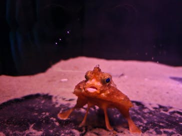 名古屋港水族館に投稿された画像（2025/10/5）