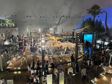 福井県立恐竜博物館に投稿された画像（2025/10/5）