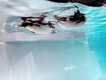 AOAO SAPPOROに投稿された画像（2025/10/5）