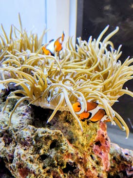 AOAO SAPPOROに投稿された画像（2025/10/5）