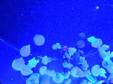 AOAO SAPPOROに投稿された画像（2025/10/5）