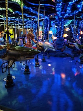 マクセル アクアパーク品川に投稿された画像（2025/10/5）