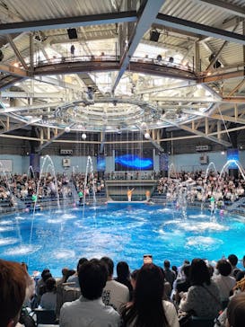 マクセル アクアパーク品川に投稿された画像（2025/10/5）