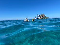 OPG（オーピージー）に投稿された画像（2025/10/5）