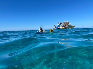 OPG（オーピージー）に投稿された画像（2025/10/5）