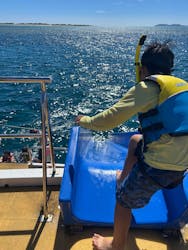 OPG（オーピージー）に投稿された画像（2025/10/5）