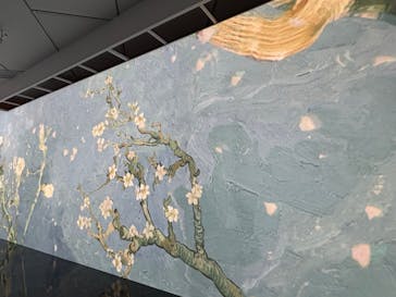 ゴッホ展　家族がつないだ画家の夢（東京都美術館）に投稿された画像（2025/10/5）