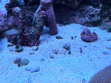 サンシャイン水族館に投稿された画像（2025/10/5）