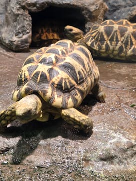 サンシャイン水族館に投稿された画像（2025/10/5）