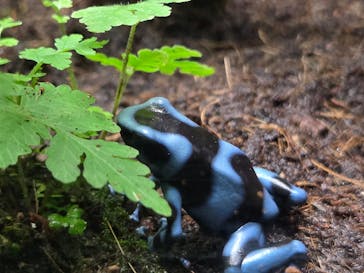 サンシャイン水族館に投稿された画像（2025/10/5）