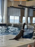 アクアワールド茨城県大洗水族館に投稿された画像（2025/10/5）