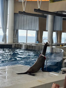アクアワールド茨城県大洗水族館に投稿された画像（2025/10/5）
