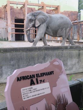 東武動物公園に投稿された画像（2025/10/5）