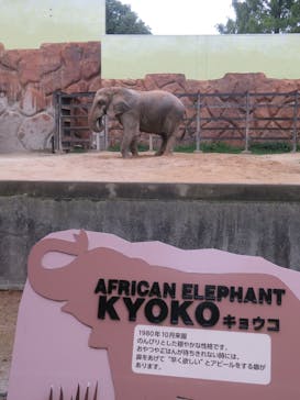 東武動物公園に投稿された画像（2025/10/5）