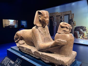 ACN ラムセス大王展 ファラオたちの黄金に投稿された画像（2025/10/5）