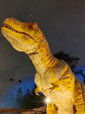 福井県立恐竜博物館に投稿された画像（2025/10/5）