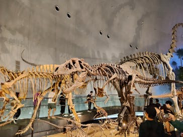 福井県立恐竜博物館に投稿された画像（2025/10/5）