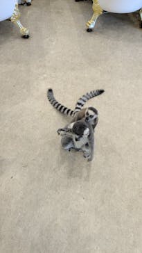 アニタッチみなとみらいに投稿された画像（2025/10/5）