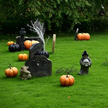 横浜イングリッシュガーデンに投稿された画像（2025/10/5）