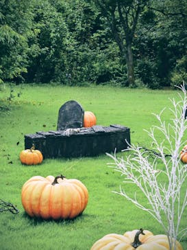 横浜イングリッシュガーデンに投稿された画像（2025/10/5）