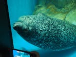 アクアワールド茨城県大洗水族館に投稿された画像（2025/10/5）