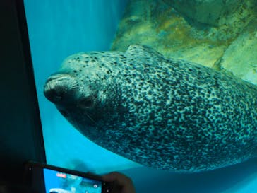 アクアワールド茨城県大洗水族館に投稿された画像（2025/10/5）