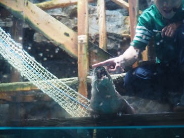 アクアワールド茨城県大洗水族館に投稿された画像（2025/10/5）