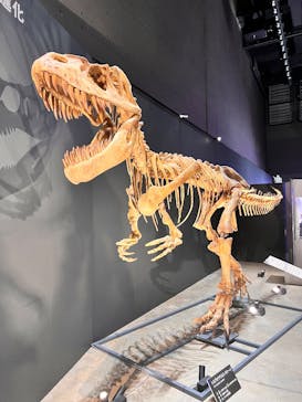 福井県立恐竜博物館に投稿された画像（2025/10/5）