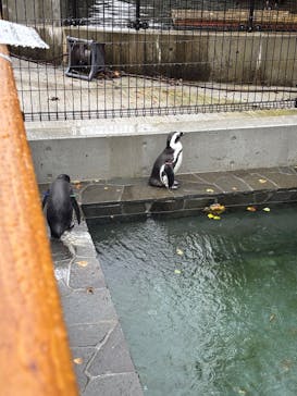 池の平ファミリーランドに投稿された画像（2025/10/5）