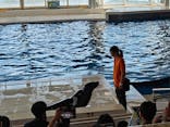 アクアワールド茨城県大洗水族館に投稿された画像（2025/10/5）