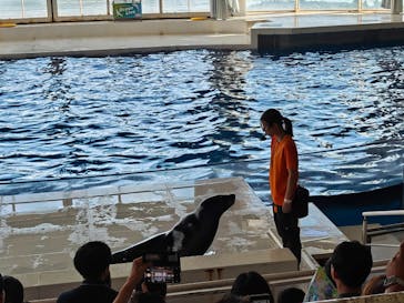 アクアワールド茨城県大洗水族館に投稿された画像（2025/10/5）