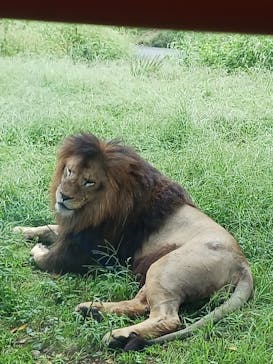 多摩動物公園に投稿された画像（2025/10/5）