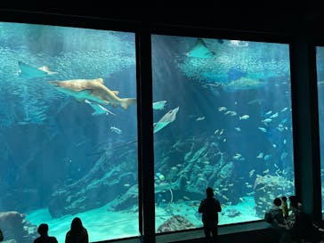 マリンワールド海の中道に投稿された画像（2025/10/5）