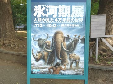 特別展「氷河期展 〜人類が見た4万年前の世界〜」（国立科学博物館）に投稿された画像（2025/10/5）