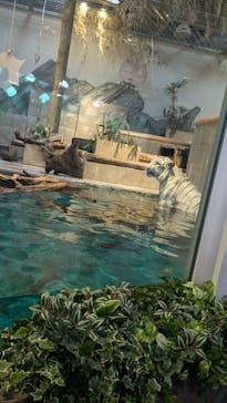 NIFREL（ニフレル）に投稿された画像（2025/10/5）