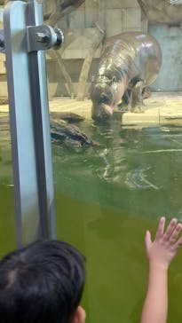 NIFREL（ニフレル）に投稿された画像（2025/10/5）