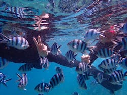 マナエンジョイダイビングに投稿された画像（2025/10/5）