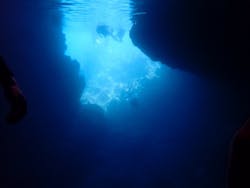 マナエンジョイダイビングに投稿された画像（2025/10/5）