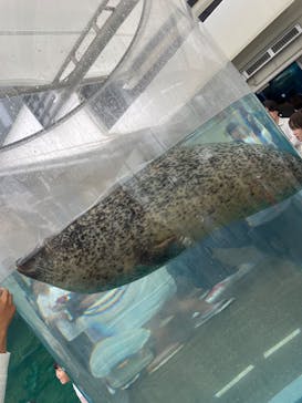 京都水族館に投稿された画像（2025/10/5）