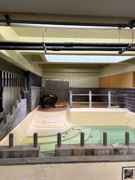 恩賜上野動物園に投稿された画像（2025/10/5）