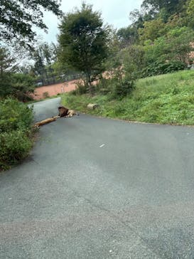 東京動物園協会_多摩動物公園に投稿された画像（2025/10/5）