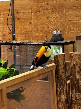 しろとり動物園に投稿された画像（2025/10/5）