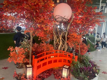 サンシャイン60展望台に投稿された画像（2025/10/5）