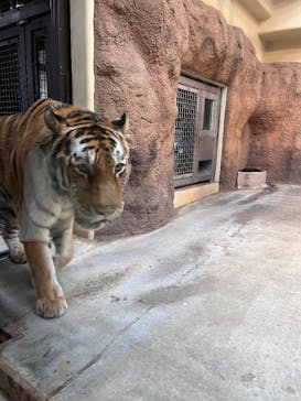 日立市かみね動物園に投稿された画像（2025/10/5）