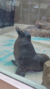 サンシャイン水族館に投稿された画像（2025/10/5）