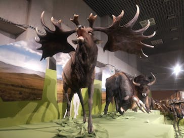 特別展「氷河期展 〜人類が見た4万年前の世界〜」（国立科学博物館）に投稿された画像（2025/10/5）