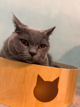 Moff animal cafe iias つくば店に投稿された画像（2025/10/5）