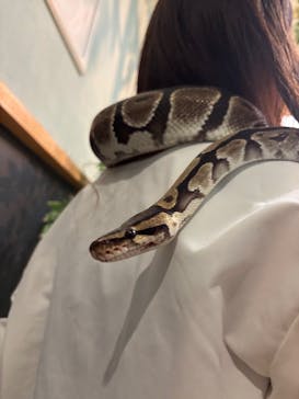 Moff animal cafe iias つくば店に投稿された画像（2025/10/5）