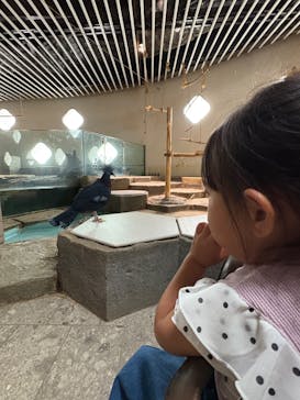 NIFREL（ニフレル）に投稿された画像（2025/10/5）