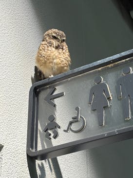 NIFREL（ニフレル）に投稿された画像（2025/10/5）